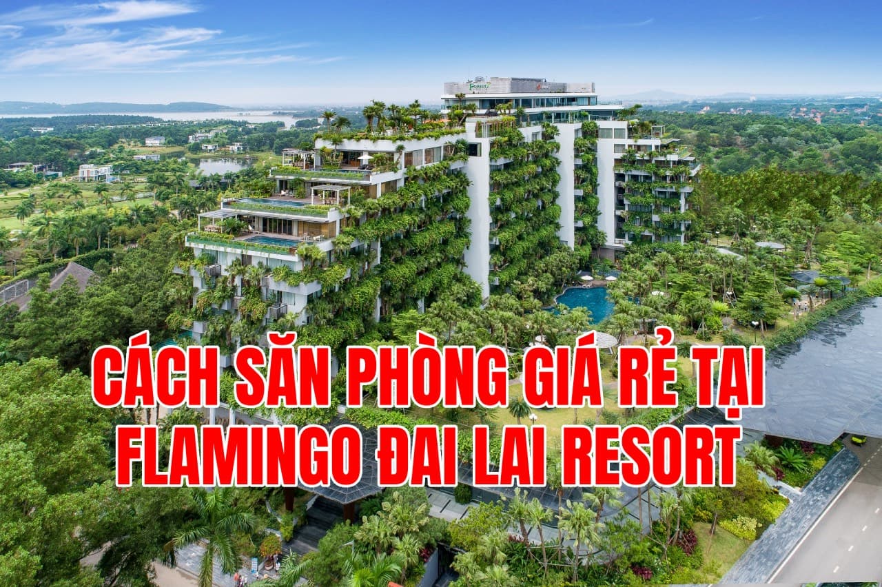 Cách Săn Phòng Flamingo Đại Lải Giá Rẻ – Bí kíp không phải ai cũng biết
