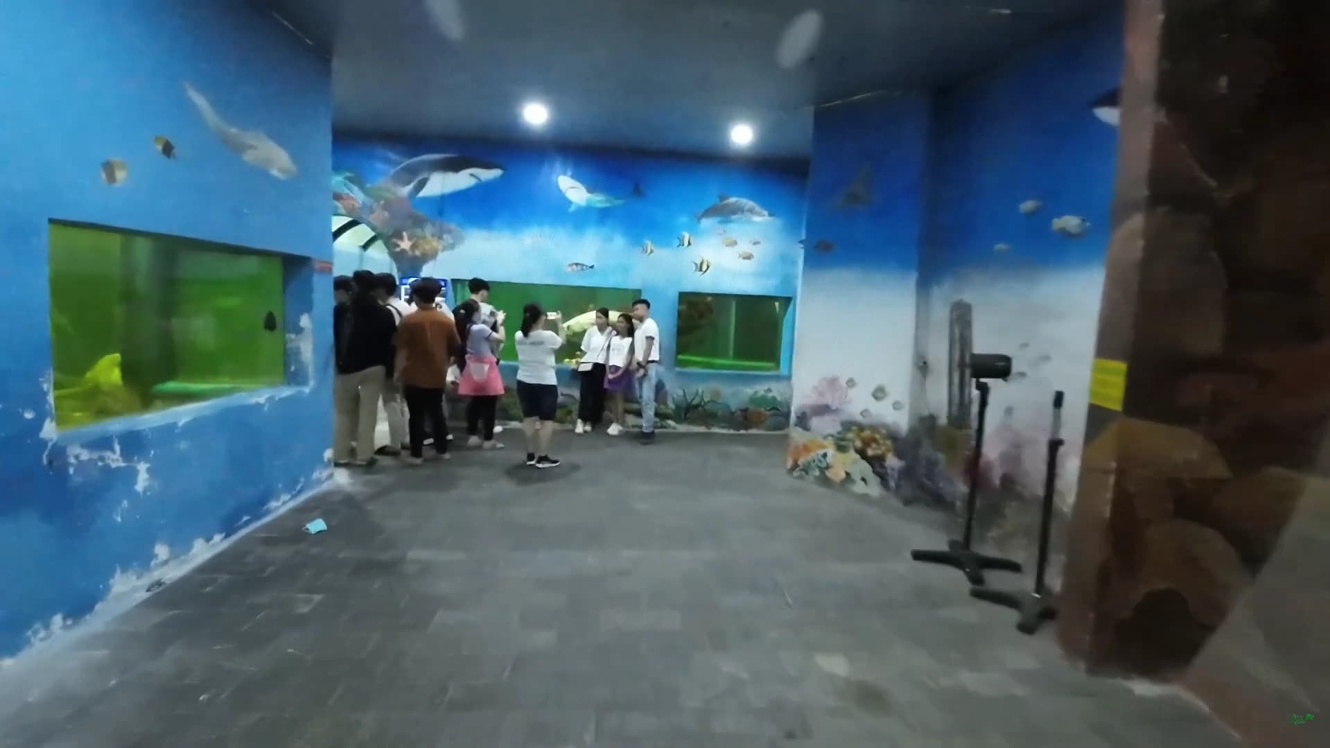 Thủy Cung Đầm Sen – Trải nghiệm & Giá vé cập nhật 2025