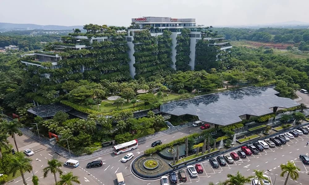 Tự lái xe Ô tô đi du lịch Flamingo Đại Lải