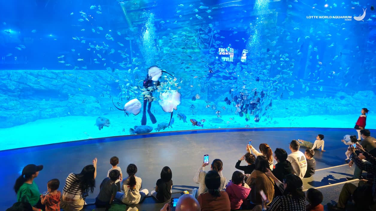 Vé Thuỷ Cung Lotte World Aquarium Hà Nội