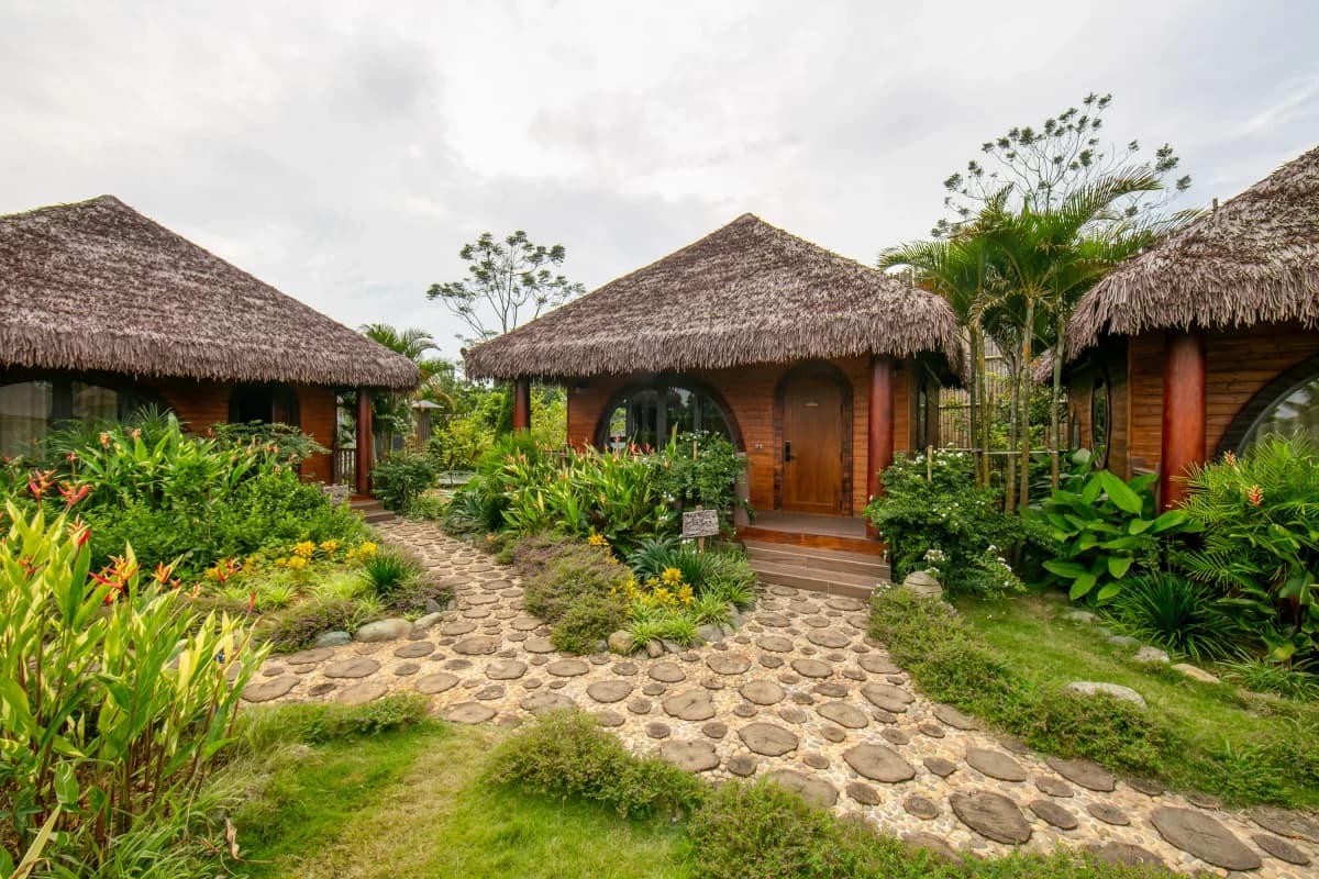 Làng Trong Thung Ba Vì – Jacaranda