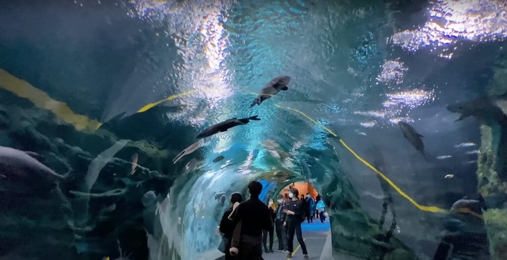 Đặt vé Thủy Cung Lotte World Hà Nội cho đoàn