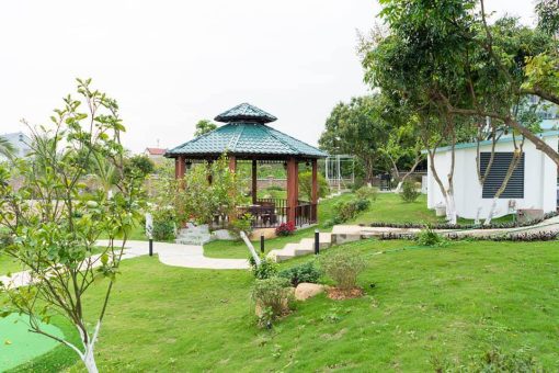 botanic garden villa soc son 4