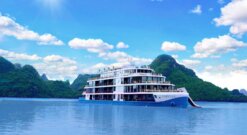 đặt capella cruise khuyến mãi