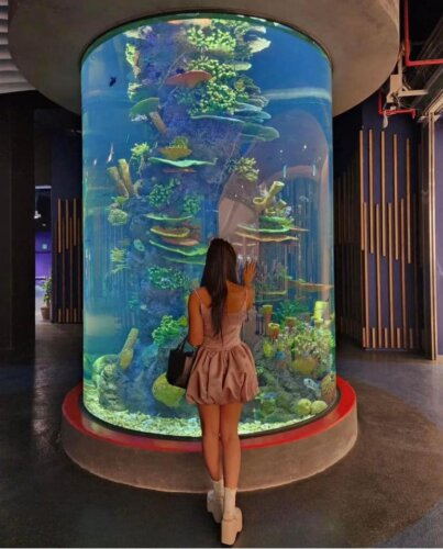 Vé Thuỷ Cung Lotte World Aquarium Hà Nội photo review
