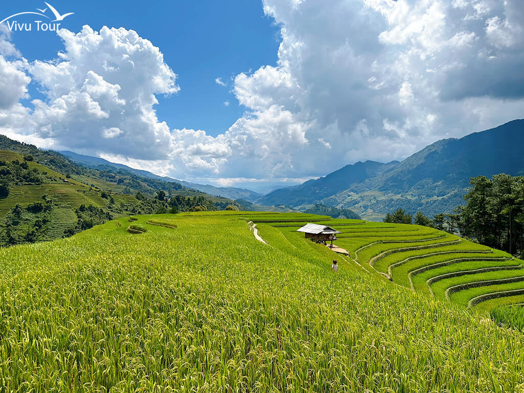 mu cang chai thang 10