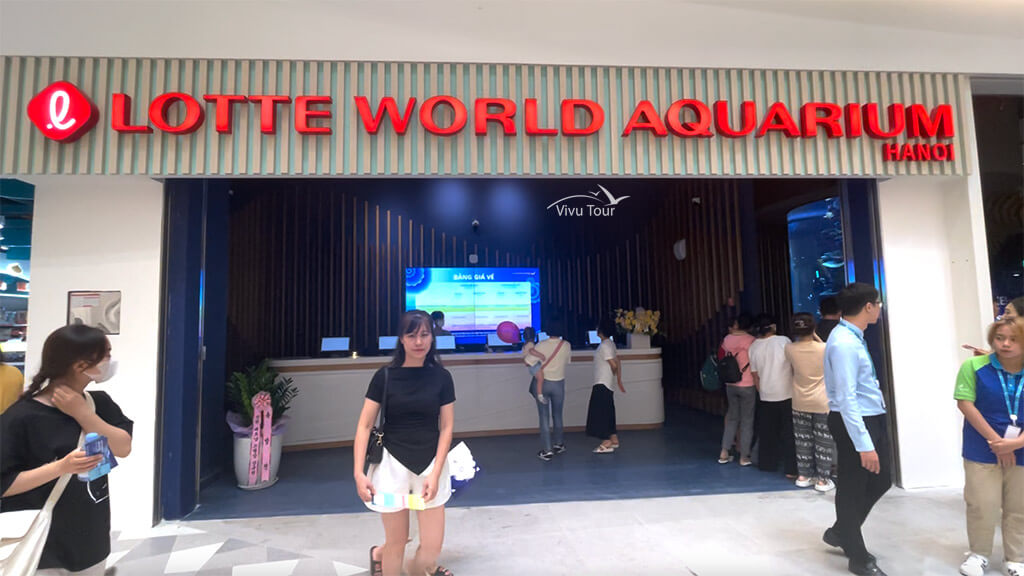 thuy cung lotte word aquarium hanoi 5