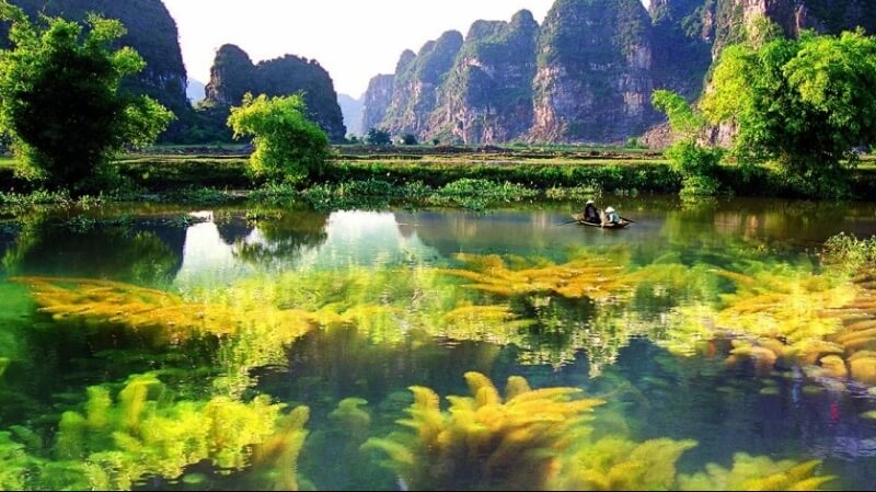 van long ninh binh