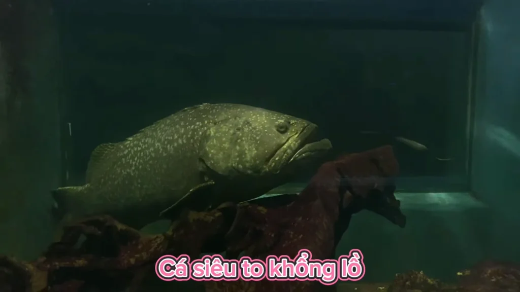 thủy cung đầm sen 2