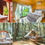 bảng giá phòng ở green pine ninh bình