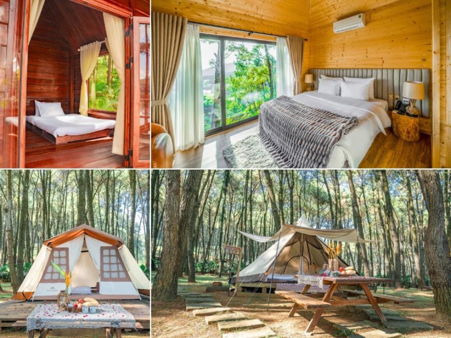 Bảng giá Green Pine Resort Ninh Bình 2025 1 bảng giá phòng ở green pine ninh bình