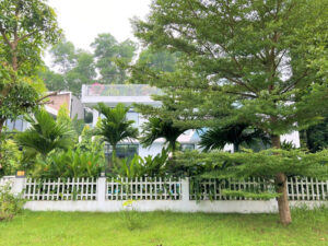 biet thu flamingo dai lai b104 1