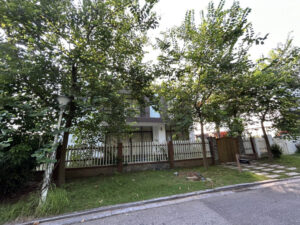 biet thu flamingo dai lai t100 1