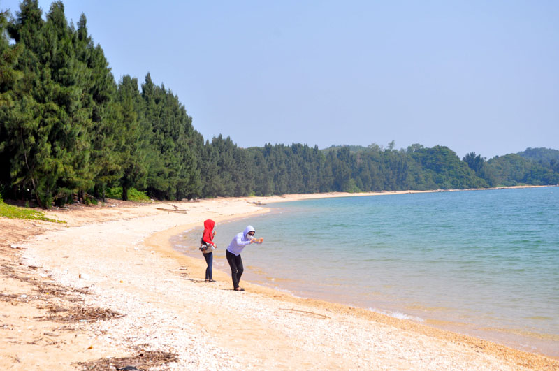 đảo cái chiên