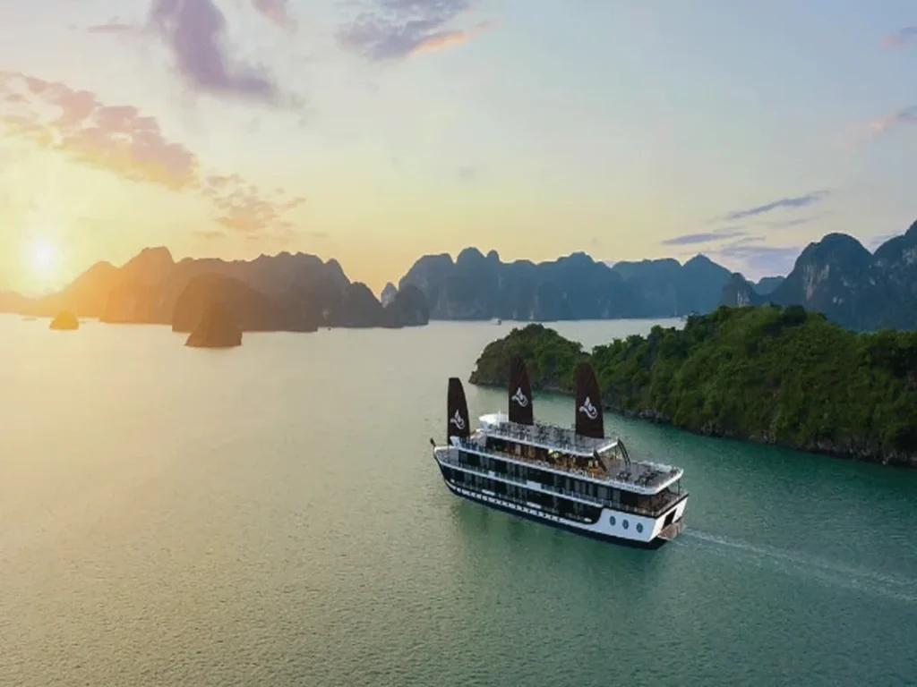 Du thuyền M'Gloria Cruise Hạ Long 1 du thuyen mgloria cruise ha long 100
