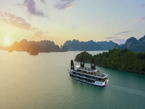 du thuyen mgloria cruise ha long 100