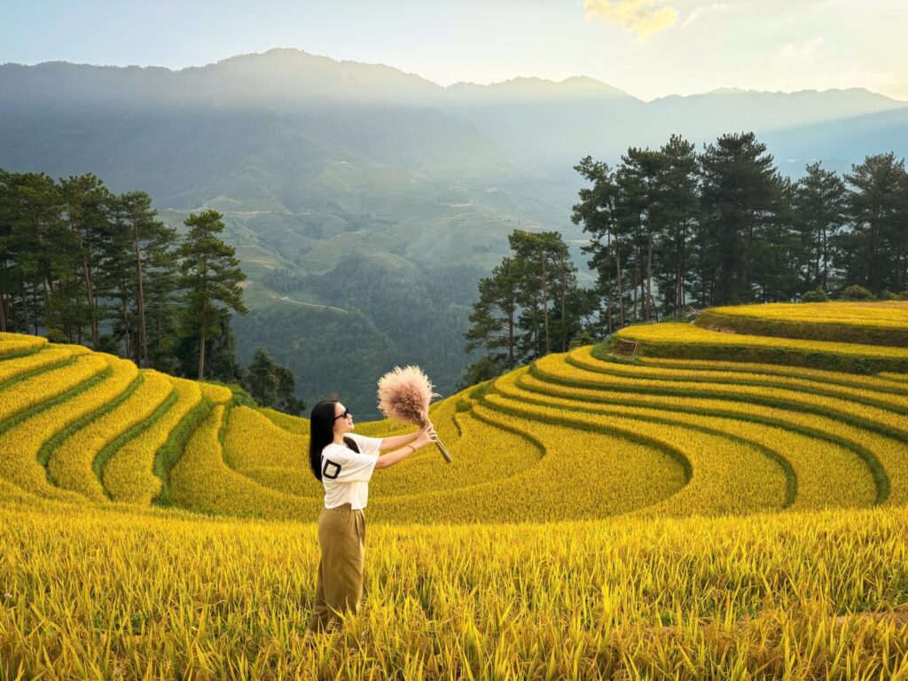 Mù Càng Chải Nên Đi Tháng Mấy? Bí Kíp Chọn Đúng Mùa Để Ngắm Cảnh Đẹp Nhất 1 mù cang chải mùa nào đẹp