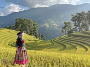 mu cang chai