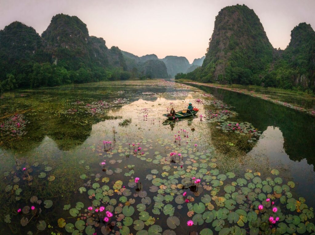 Ninh Bình vào mùa hoa súng – sắc hồng dịu giữa những ngày cuối thu 6 mua sung ninh binh 4