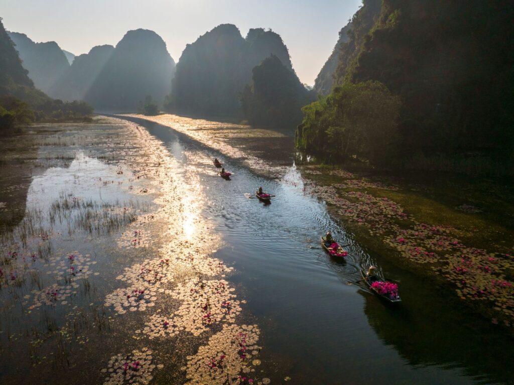 Ninh Bình vào mùa hoa súng – sắc hồng dịu giữa những ngày cuối thu 8 mua sung ninh binh 6
